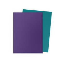 Dragon Shield: Standard 100ct Sleeves - Soul and Petrol