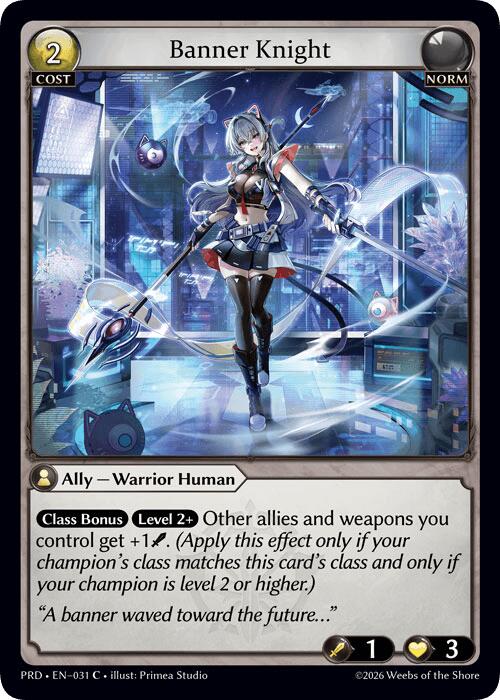 Banner Knight (Interference Curio Foil) (31) [.asphodel/paradise]
