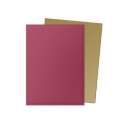 Dragon Shield: Standard 100ct Pomegranate & Gold
